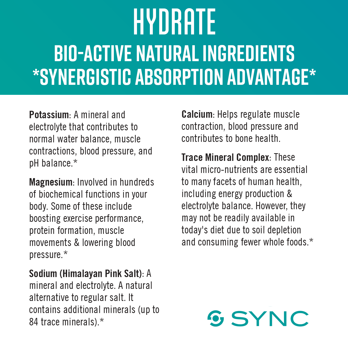 
                  
                    SYNC Hydrate - 15 Pack
                  
                