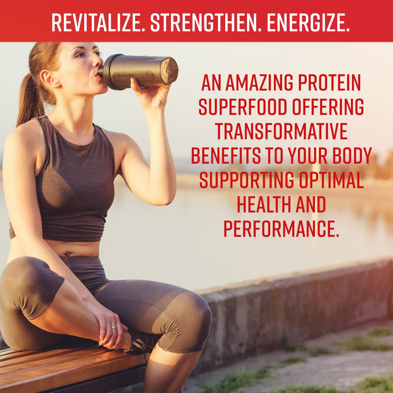 
                  
                    SYNC REVIVE - Clear Protein Plus Superfood
                  
                