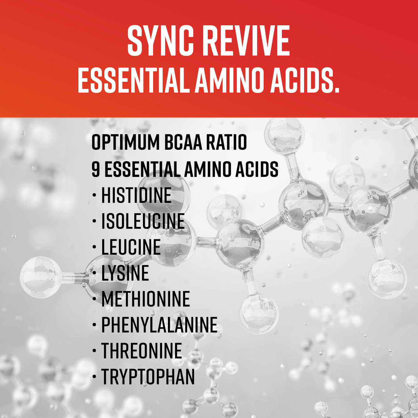 
                  
                    SYNC REVIVE - Clear Protein Plus Superfood
                  
                