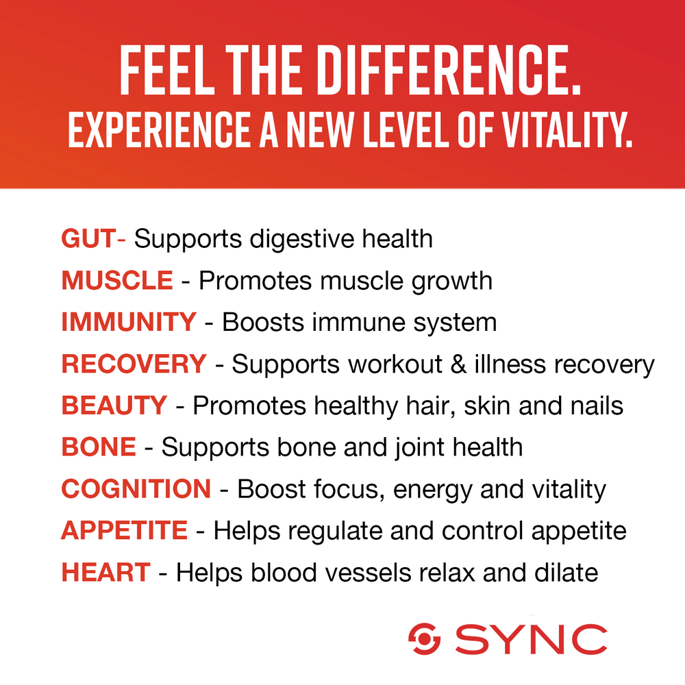 
                  
                    SYNC REVIVE - Clear Protein Plus Superfood
                  
                