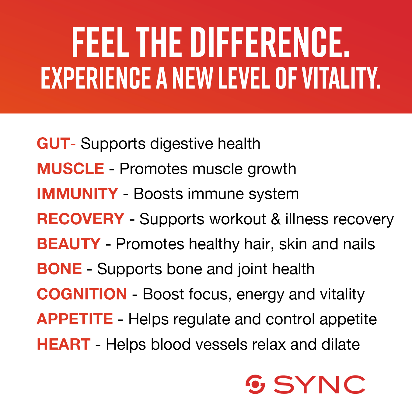 
                  
                    SYNC REVIVE - Clear Protein Plus Superfood
                  
                